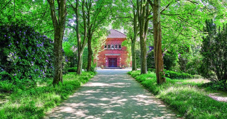 Baeume-am-Weg-zur-Kapelle