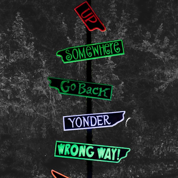 Bunte Schilder mit verschiedenen Richtungshinweisen in einem Wald.